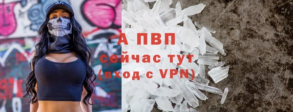 прущие крисы Богданович